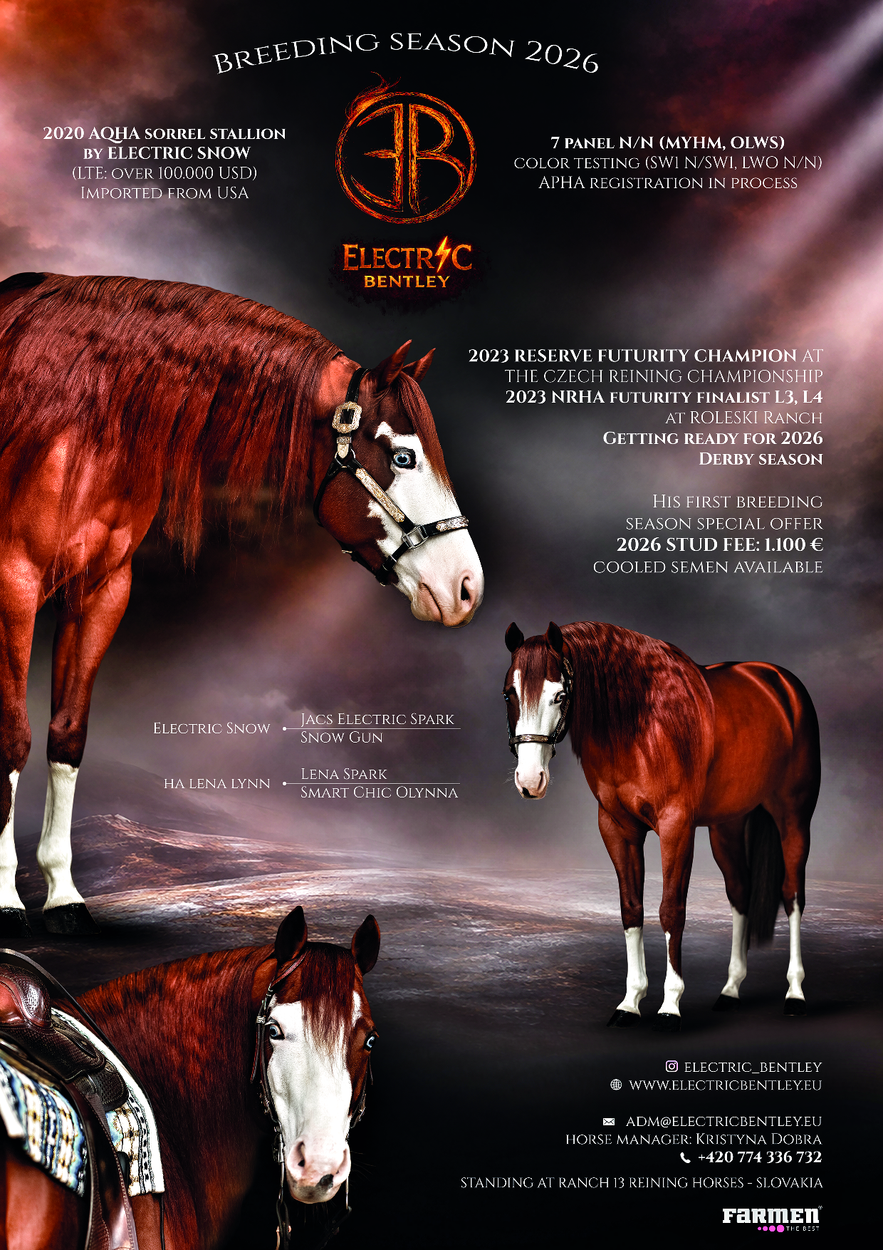 Leták Nemšová 2026